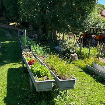 Casa Rural Roncesvalles Espinal-Auzperri Екстер'єр фото