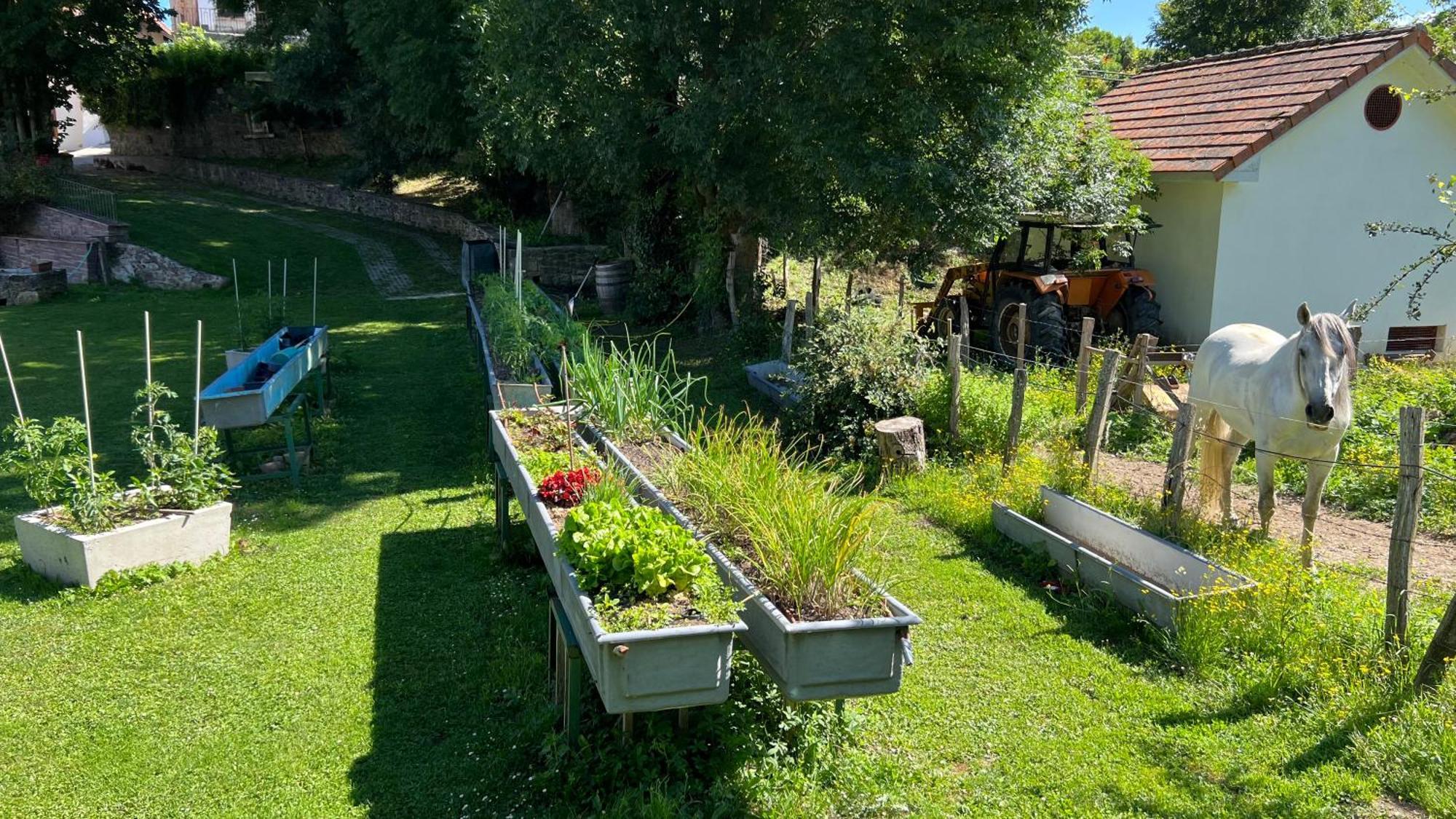 Casa Rural Roncesvalles Espinal-Auzperri Екстер'єр фото